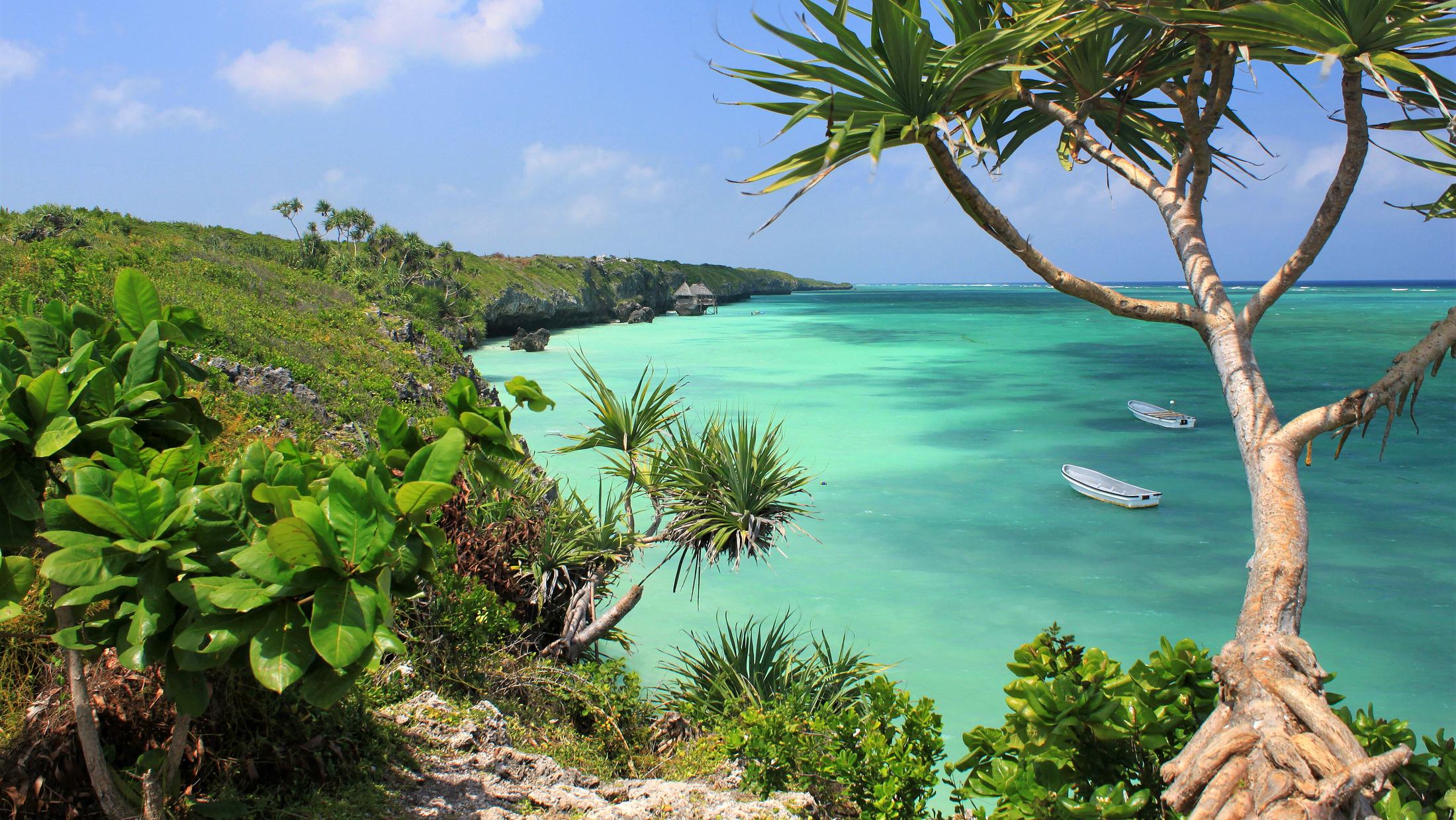Laguna turchese e palme sulla costa di Zanzibar